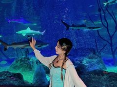 -沈阳海洋探索中心