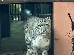 -青藏高原野生动物园