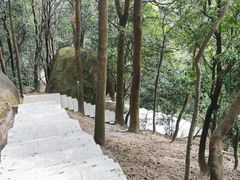 -火炉山森林公园