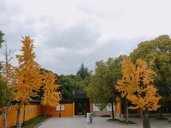 -西园戒幢律寺