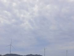 -汕尾风车岛