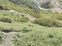 -墨石公园景区