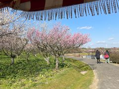 -上海海湾国家森林公园