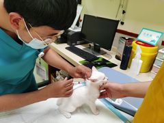 -艾贝尔宠物诊疗