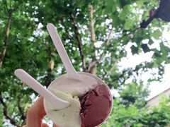 -DIP in GELATO(富民路店)