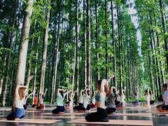 -黄海国家森林公园