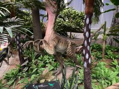 -西峡恐龙遗迹园