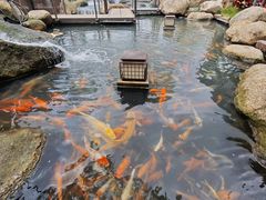 -大笑饭堂(甲子桥店)
