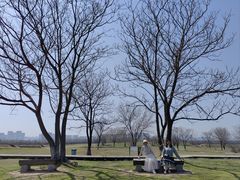 -盘龙城国家考古遗址公园