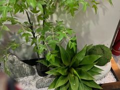 -澜悦汇推拿足道(蓝村路店)