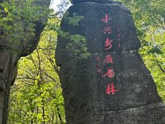 -汤旺河林海奇石景区