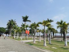 -滨海公园
