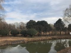 -西安浐灞国家湿地公园