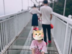 -牛鱼嘴原始生态风景区