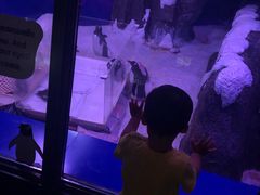 -暹罗海洋世界