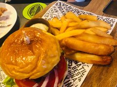 -Boxing Cat Brewery拳击猫精酿啤酒馆(永福店)