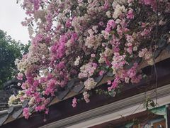 -深圳国际园林花卉博览园