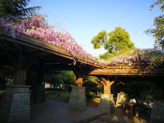 -白塘生态植物园