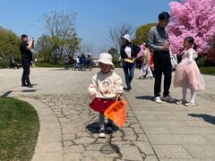 -苏州太湖国家湿地公园