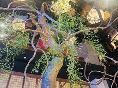 -桂满陇·海市蜃楼·黑金(国金店)