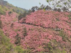 -木兰云雾山