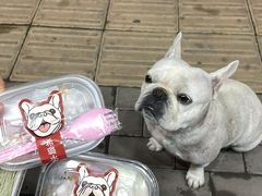 -潮庭·大连海鲜·炭火烧烤·扇贝王(大连店)