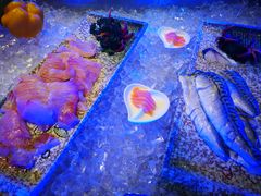 -泰谷酒店·太古码头闽菜自助餐厅