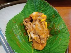 八爪鱼微辣-红辣椒八爪鱼特色韩国料理