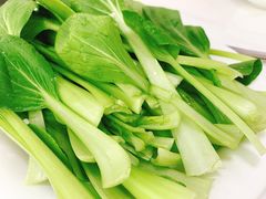 小青菜-一代菌王·竹荪鹅(江苏旗舰店)
