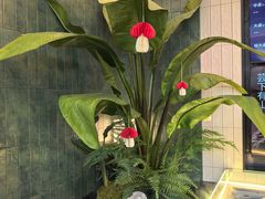 -芸山季·云南山珍菌火锅(南翔印象城MEGA店)