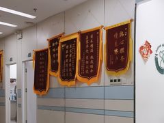 -中农国际动物医院24小时·猫科·骨科·急重症中心