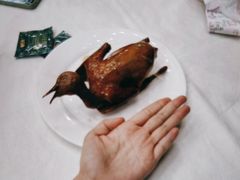 -五谷芳乳鸽王(海景店)