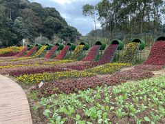 -广州市石门国家森林公园