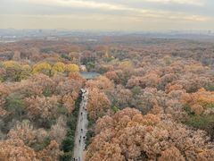 -灵谷景区