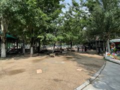 -长白岛森林公园