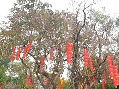 -荔湾湖公园