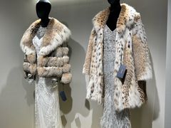 -肃宁华斯国际裘皮城