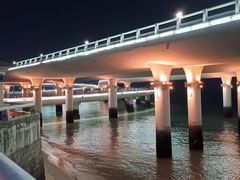 -演武大桥观景平台