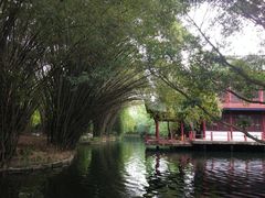 -棠湖公园