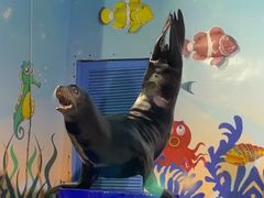 -太平洋海底世界