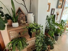 -AHAVA·Fang Baking Studio