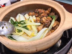 -华仔土鸡店(三元里分店)