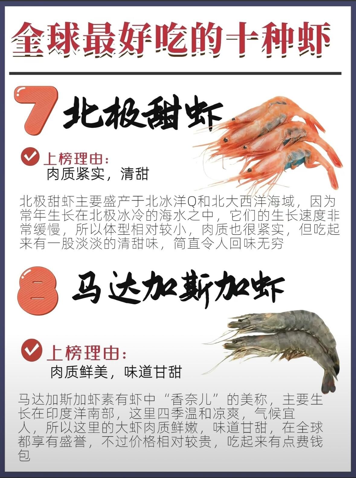 全球十大好吃龙虾排行!