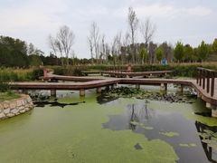 -东郊湿地公园