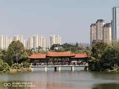 -洛龙公园