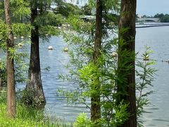 -飞来湖湿地公园