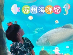 -苏州海洋馆