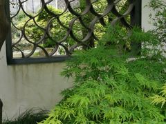 -上海醉白池公园