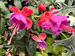 -上海神旺大酒店