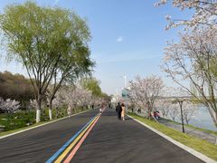 -羊山湖公园